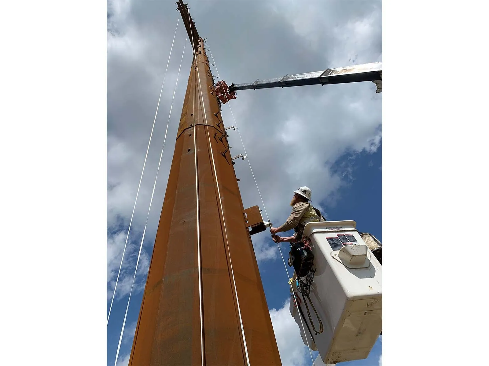 Engineered fall arrest system designed for power plants, substations, and utility infrastructure