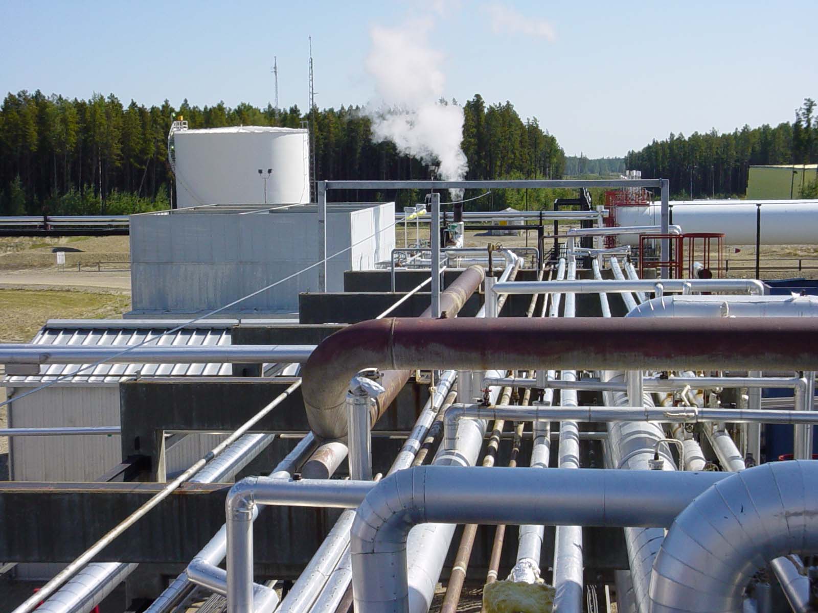 Fall protection system installed for elevated access along industrial pipe rack