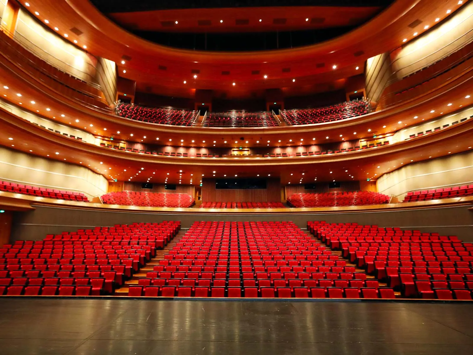 Fall protection systems for theme parks, stadiums, and theaters ensuring safe elevated access