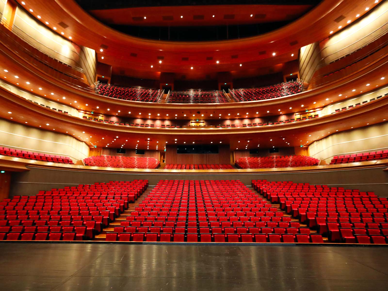 Fall protection system installed above stage in theater rigging area