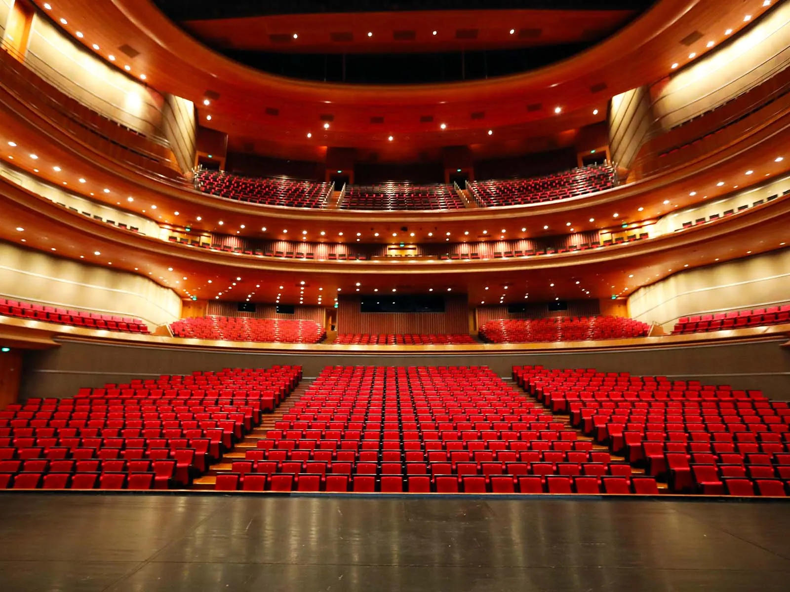 Fall protection system installed above stage in theater rigging area